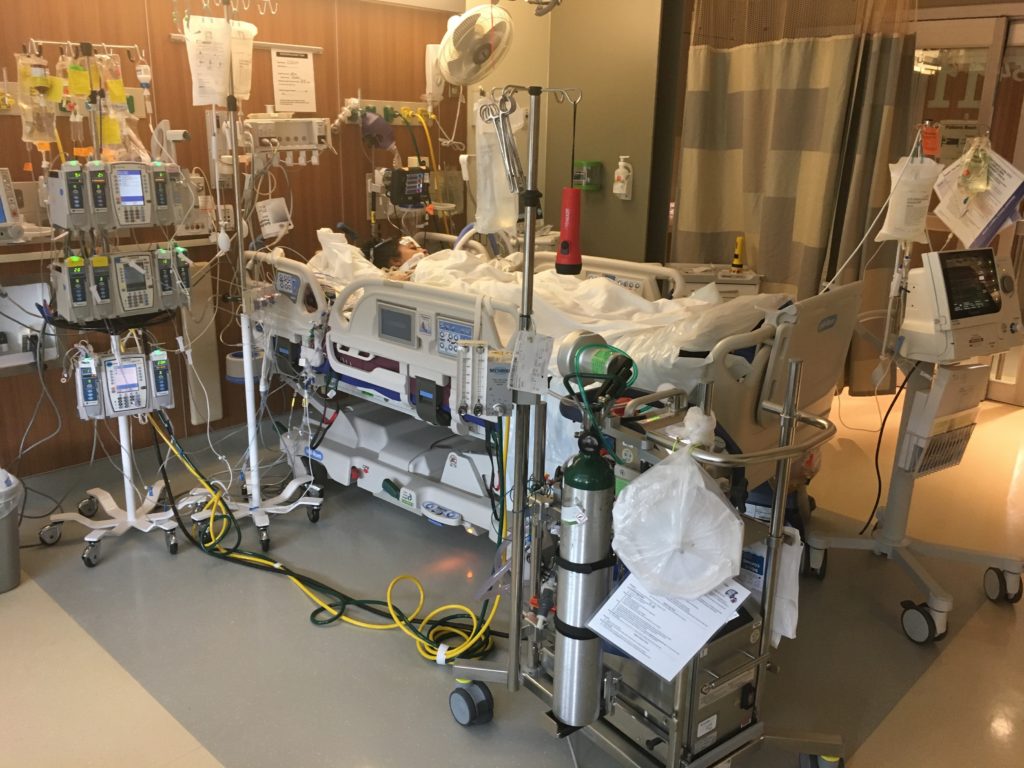 This Mommy's Heart - My PPCM Story - On ECMO
